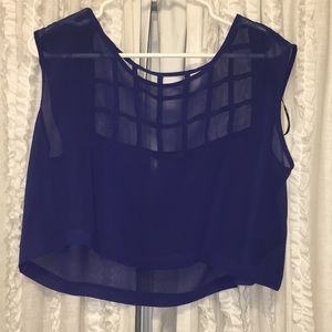Cobalt Blue Crop Top